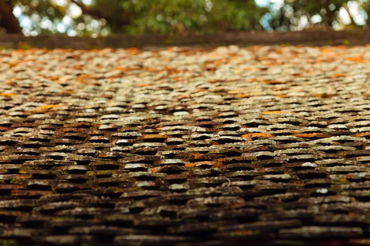 Aging shingle roof with moss growth and granule loss in Toms River, NJ